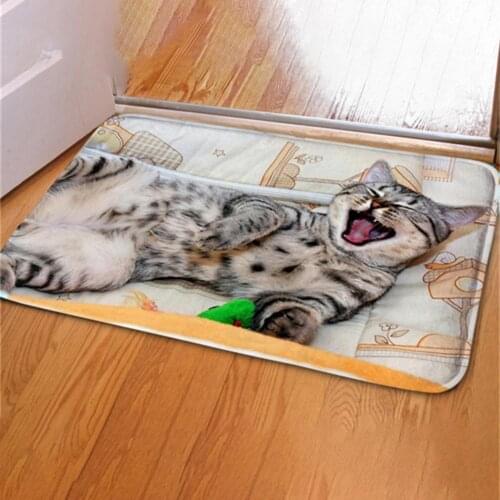 3D Effect Velvet bsorbent Anti-slip Mat For Bathroom Door Cat Dog Pattern Floor Mat for Bedroom Door Home Decoration Pet Cushion