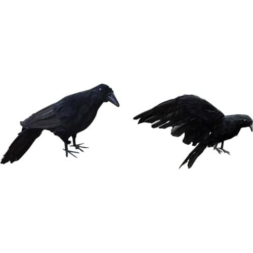 2 Pcs Realistic New Black Raven Feathered Crow Halloween Fancy Dress Prop Accessory 30Cm & 25X40Cm