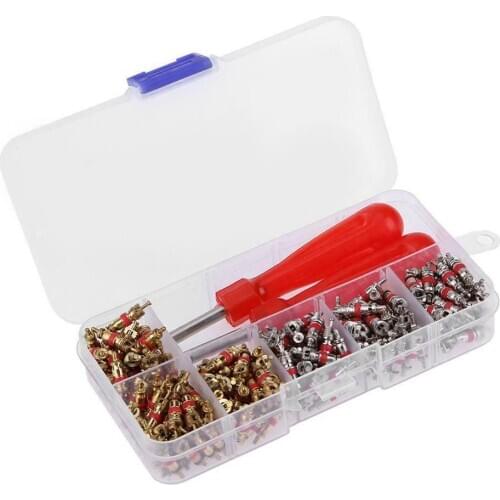 242Pcs Car A/C Air Conditioning R134a Valve Core Assortment+Remover Tool Kit Set