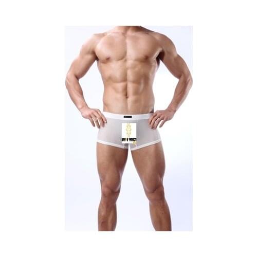 Brand Brave person breathable Mens sexy underwear ice silk ultra-thin solid underwear men gay boxers comfortable underpants