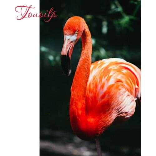 5D Diy Flamingos spuare&round diamond painting crystalPainting diamonds decorative diy bird diamond embroidery kits