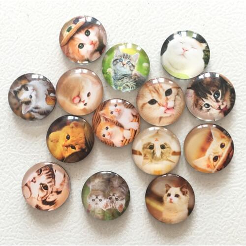 Free shipping (14pcs/lot) Cute Cat Round Glass Fridge Magnet Cartoon Animal Message sticker for Cat Lovers Cat Decoration