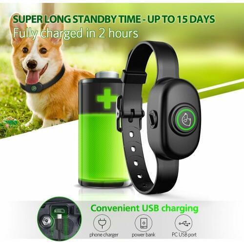 Electric Rechargeable Waterproof Small Dog Training Collar Shock Pet Dog Training Collar Anti-barking Automatic Vibration Collar