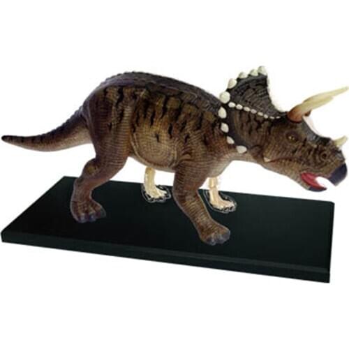 4d Jurassic Dinosaur Tyrannosaurus Rex Puzzle Assembling Skeleton Toy Animal Organ Anatomy Medical Teaching Model