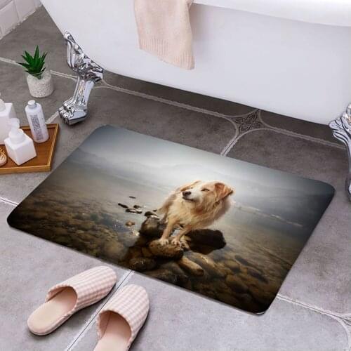 Sisher Kitchen Carpets