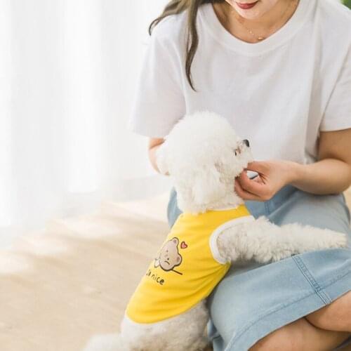Puppy Dog Clothes Spring And Summer New Thin Style Breathable Cool Bear Cartoon Print Vest Cat Two-Legged Clothes