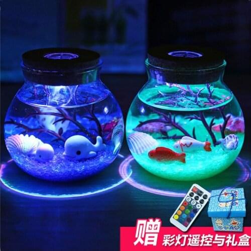 Valentines Day Gift for Girlfriend, Friend, Girlfriend, Birthday Gift, Creative DIY Gift Wishing Bottle Decoration crafts