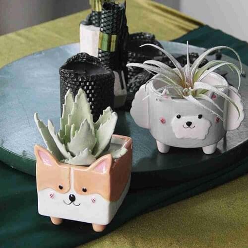 Cartoon Animal Succulent Ceramic Flower Pot Cute Pot Hedgehog Fox Bunny Macetas Balcony Garden Flowerpot Bedroom Desktop Decor