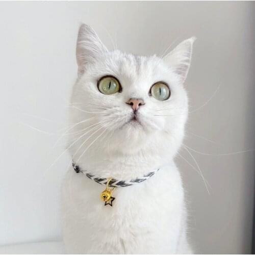 Dog Cat Scarf, Neck Necklace Decoration Scarf Bib Shawl Cartoon Print Accessories Pet Supplies