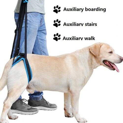 Old Dogs Balance Support Belt Dog Hind Legs Auxiliary Belt for Recovery Disability Leg Brace Hind Leg Help Walking Harness