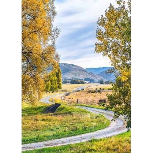 Yellow Trees Pathway Mountain Vinyl Photographic Backgrounds Backdrops Photocall for Wedding Baby Photo Studio Photophone