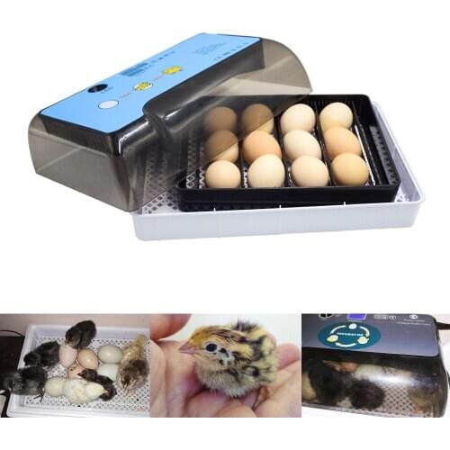Super Farm Hatchery Incubator Brooder Machine 12 Egg Hatchers Chicken Automatic Eggs Incubator Bird Quail Brooder Temperature