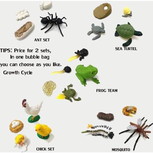 Beloved Store 2020 4-7CM Wild Farm Savanna Birds Ocean Jaguar Model Toy Growth Cycle Pvc Series Children Gift Boy Girl Home Deco