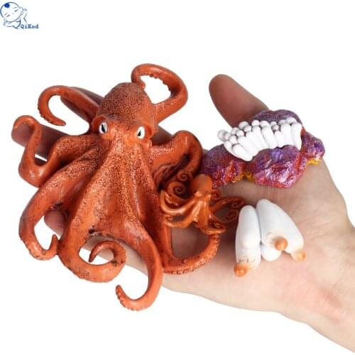 Sea Life Simulation Marine Animals Octopus Squid Growth Cycle Model Action Figures Figurine Baby Gifts Educational Children Toys