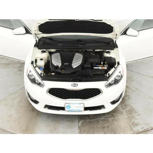 For Kia Cadenza/K7 2010-2016 Front Hood Gas Spring Lift Supports Struts Rod Arm Shocks