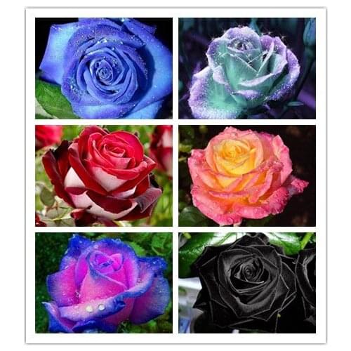 Home Decoration Full Circle Square Diamond Painting 5D Diy Flower Diamond Embroidery Handmade Rhinestone Acrylic Cross Stitch