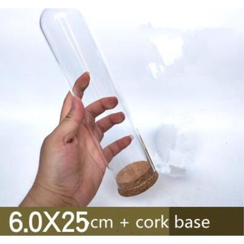 6*25cm Cork Base Cylinder Shape Glass Dome Home Decoration Diameter=6cm Diameter=25cm Glass Cover Vase Gift Wedding Decoration