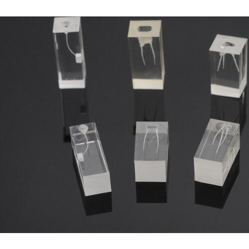 Dentistry Resin Endodontic Student Study Teaching Practice Operation Model For Dental Lab