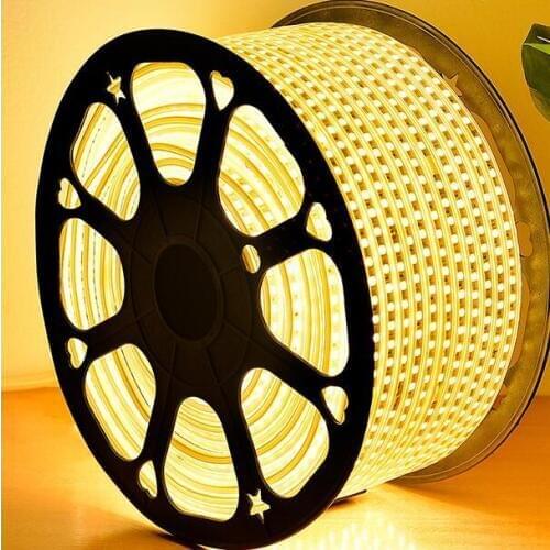 AC 220V 1M 60LED IP65 Waterproof 5050 SMD Flexible LED Strip light white / warm white / blue / green / red / led lamp Tape