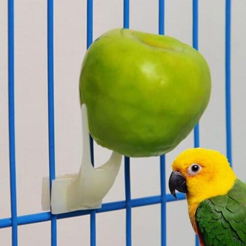 Pet Supplies Fruit Fork Bird Feeder For Parrots Pet Bird Supplies Plastic Food Holder Feeding Cage Convenient Pet Device Decor