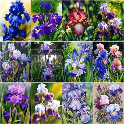 GATYZTORY Paint By Number Flower Handpainted For Adult Diy Gift Kit Drawing On Canvas Oil Painting Picture Wall Art Home Decor