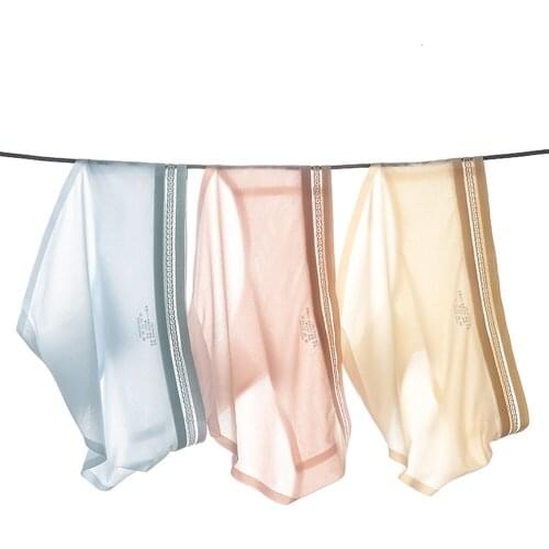 Ice Silk Seamless Underwear Womens Panties Summer Cotton Crotch Girl Triangle Shorts Ultra-Thin & Breathable Lingerie