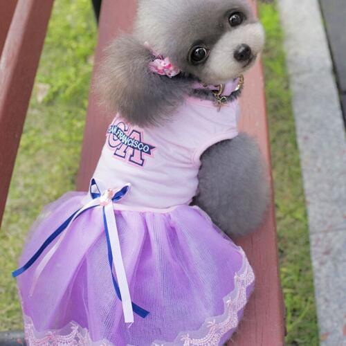 Dog Clothes for Small Dogs Dress Sweety Princess Dress Spring Summer Puppy Small Dog Lace Princess Chihuahua Dog Mascotas Roupa