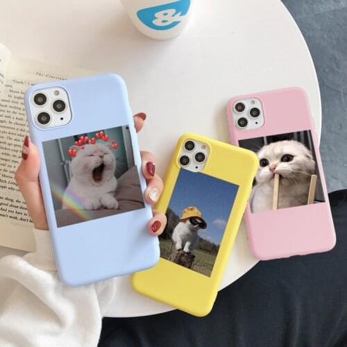 Lovely Cat Phone Case Coque For iPhone 12 Pro Max mini 11 11pro Xs Max 7 8 6 6S Plus 5 S SE 2020 X XR Soft Silicone Cover Fundas