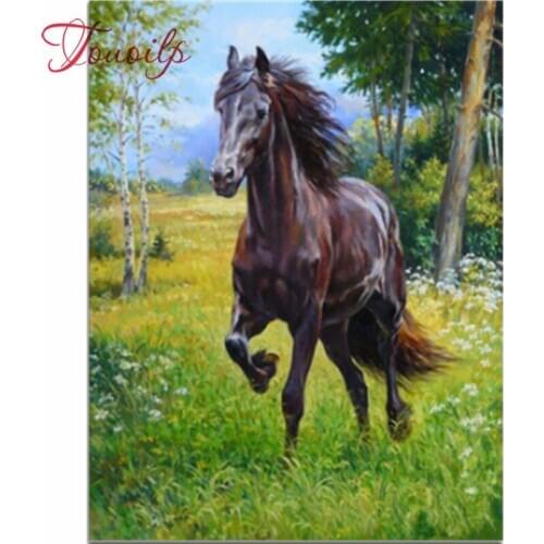 Kit de point de croix à deux chevaux, peinture au diamant, broderie en diamant, bricolage, peinture au diamant, 5D