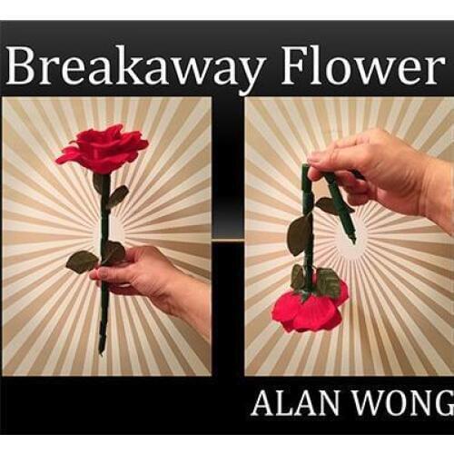 The Breakaway Flower by Alan Wong - Magic Trick ,Fun magie,Close Up magic props,Street,Accessories,mentalism,Toys