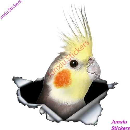 Cockatiel Parrot Lovely Bird Car Sticker Sunscreen Decal Bumper Camper Laptop Motorcycle Car Accessories Custom Decal PVC13x11cm