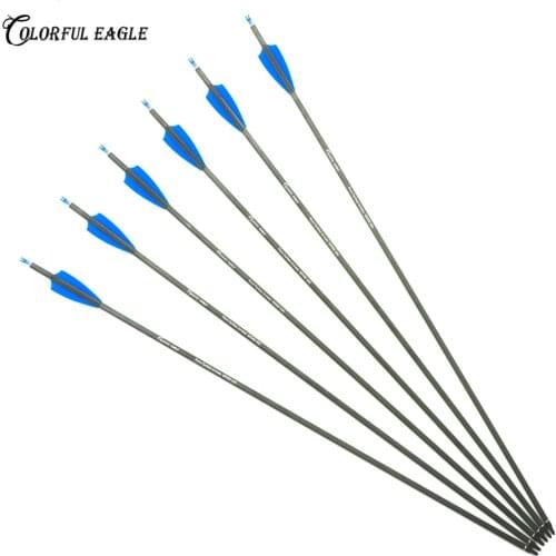 Spine 300 400 Archery Pure Carbon Arrows 28/30/31-Inch Targeting/Hunting with Replaceable Arrow heads for Recuve Compound Bow