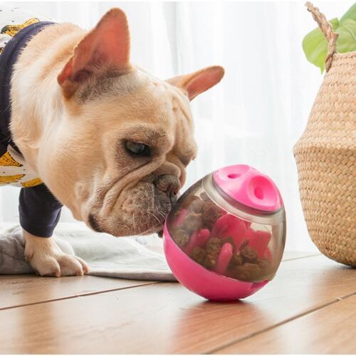 Funny Pet Interactive Toy Food Ball Puppies Small Animal Dog Bowl Slow Eating Feeder Breeds Cat Chihuahua Yorkshire Poodle Goods