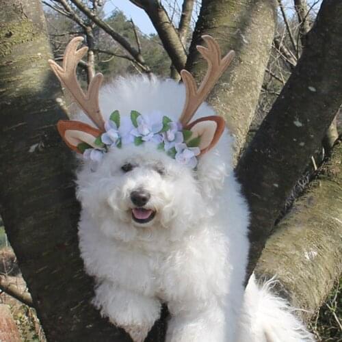 Christmas Pet Dog Cat Cap Costume Warm Rabbit Hat New Year Party Christmas Cosplay Accessories Photo Props Headwear