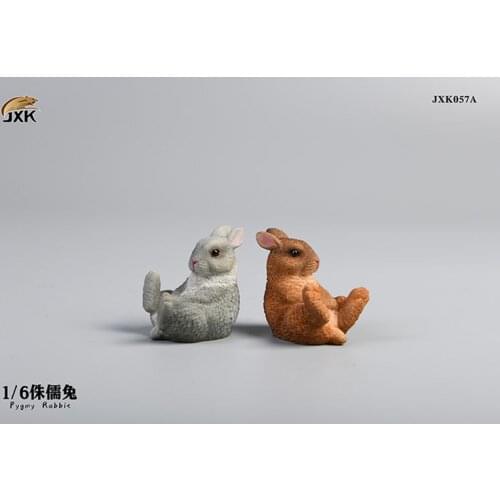 1/6 Pygmy Rabbit Figure Model JXK057 Brachylagus Idahoensis Animal Statue for Home Ornaments Decoration