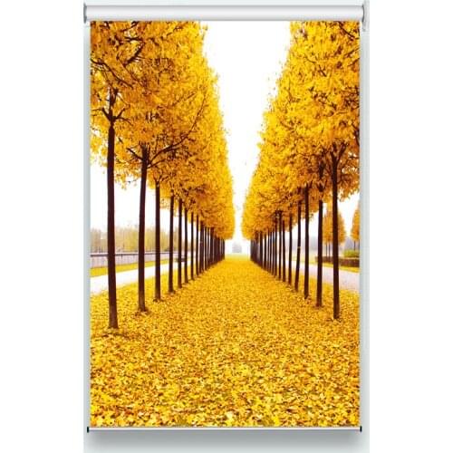 Window Roller Blinds Photo Printing Curtains Blackout Forest Room Window Sheer Curtains Anti mosquito Curtains Drapes