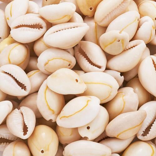 120-150pcs/box Cowrie Shell Beads Oval Seashell 9-12x10-16x3-7mm For DIY Jewelry Making Necklaces Bracelets Handicrafts Supplies