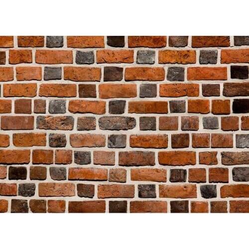 Photography Background Brick Wall Vinyl Cloth Photoshoot Backdrop Photo Studio for Children Baby Portrait Toy Pet Photobooth