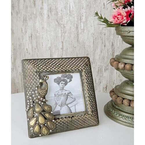 Vitale Pin Peacock Photo Frame PIN GRAY FOT. FRAMEWORK-AK.EZ0099-Width: 2.5 Length: 17 Height: 17 Material Type: Metal