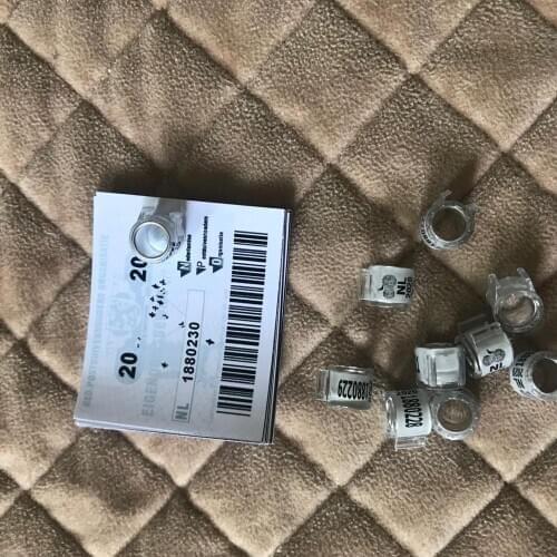 2020 pigeon rings with tickets 50PCS NL+ 30PCS BELG+ 20PCS DV