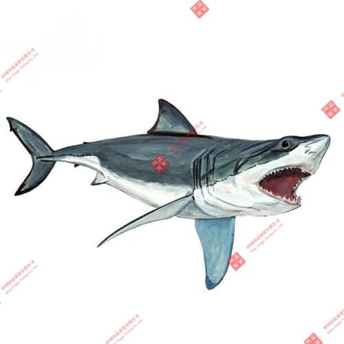13cm Great White Fish Vinyl Decal Home Office Kitchen Dorm Wall Art Tablet Cartoon Car PVC Stickers Graphics