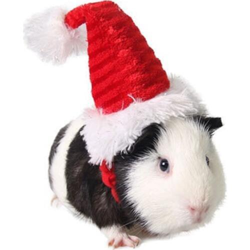 1pc Cute Fluffy Adjustable Rabbit Guinea Pig Totoro Christmas Cap Small Pet Kitten Puppy Hat Party Decoration for Chihuahua
