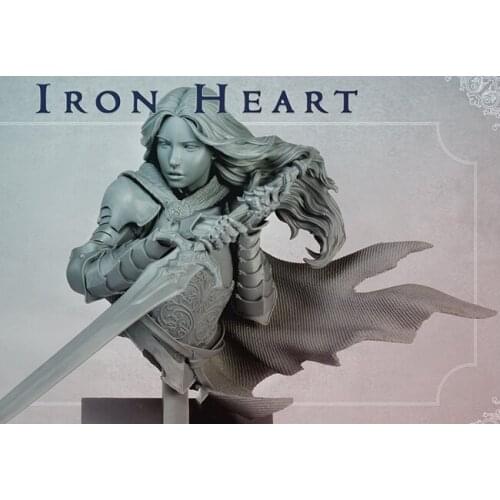 Unassambled 1/10 fantasy girl warrior bust Resin figure miniature model kits Unpainted