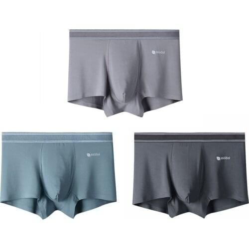 3pcs Mens Comfortable Underwear Boxers High Quality Mens Short Homme Soft Modal Underpants Plus Size 4XL