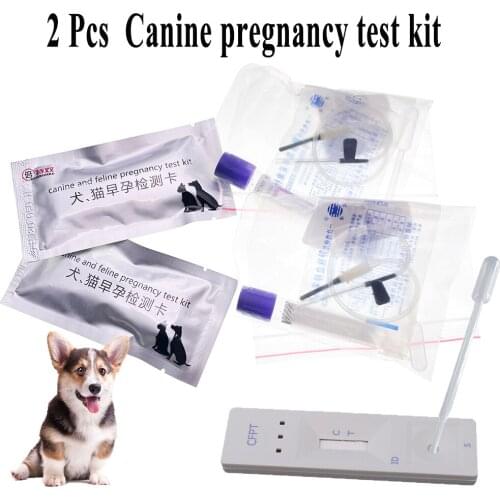 AINBO Equipment For Veterinary Clinics