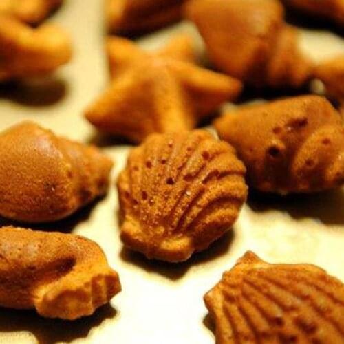 Silicone Ice Mold Underwater World Conch Shell Chocolate Model DIY Homemade Dessert Fruit Juice Ice Grid Cube Maker