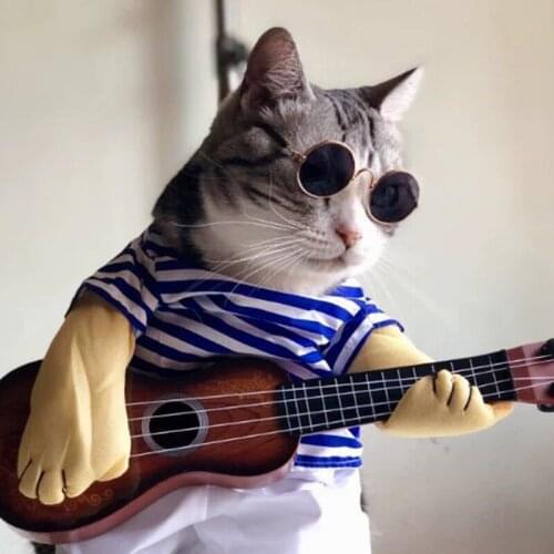 Colorful Cool Cat Glasses Sunglasses for Small Pet Glasses Fashion Trend Toy Sunglasses Fro Cats and Small Dogs 1pc