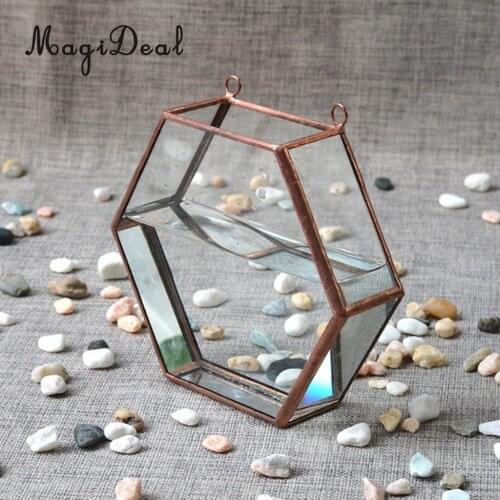 MagiDeal Glass Geometric Terrarium Jewelry Box Succulent Plant Planter Flower Pot DIY Wall Wedding Party Home Decor