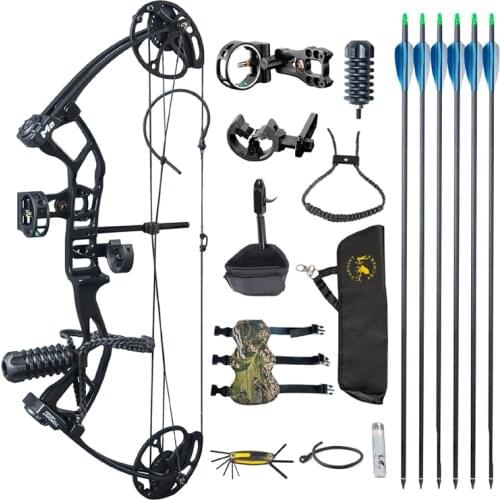 1 Set Archery Bow and Arrow 30-40lbs Compound Bow Crossbow With 6pc Carbon Arrows Professional Complete Accessories for Hunting