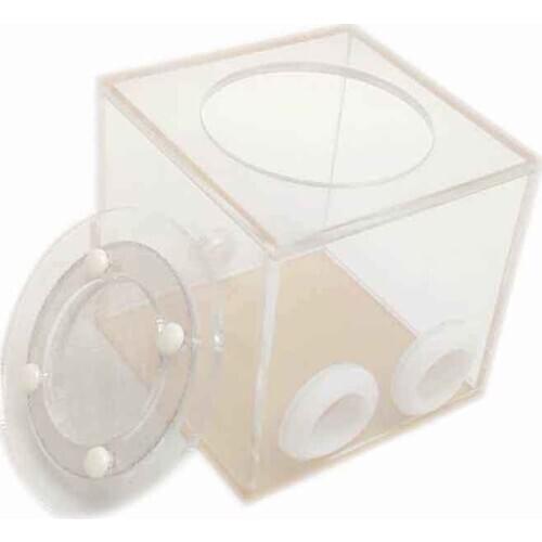 Double Tube Ant Farm Plastic Transparent Reptile Terrarium For Young Colonies messors Insect Supplies
